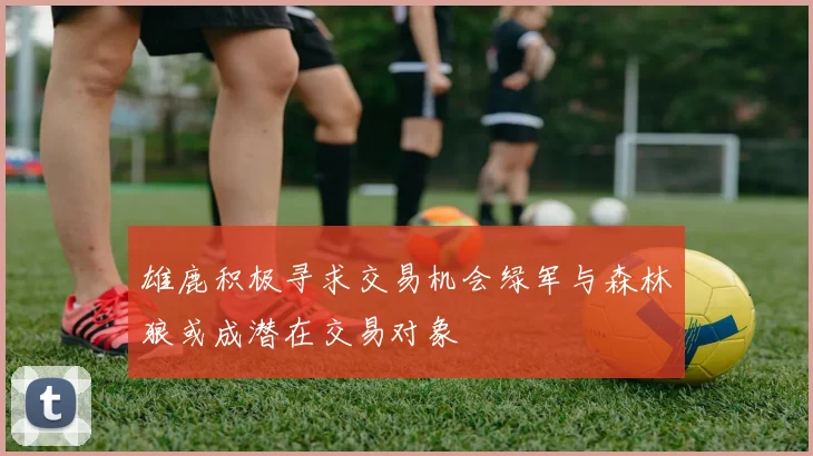 雄鹿积极寻求交易机会绿军与森林狼或成潜在交易对象